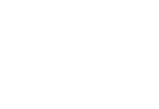 Logo Transparente